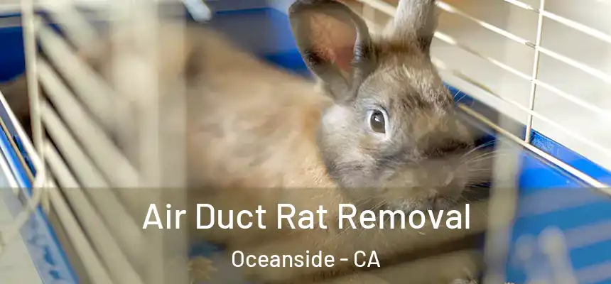  Air Duct Rat Removal Oceanside - CA