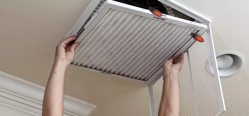 Preventive Cockroach-Proofing for Ducts in Oceanside