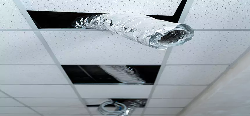 Affordable HVAC Sanitizing After Pest Removal in Oceanside