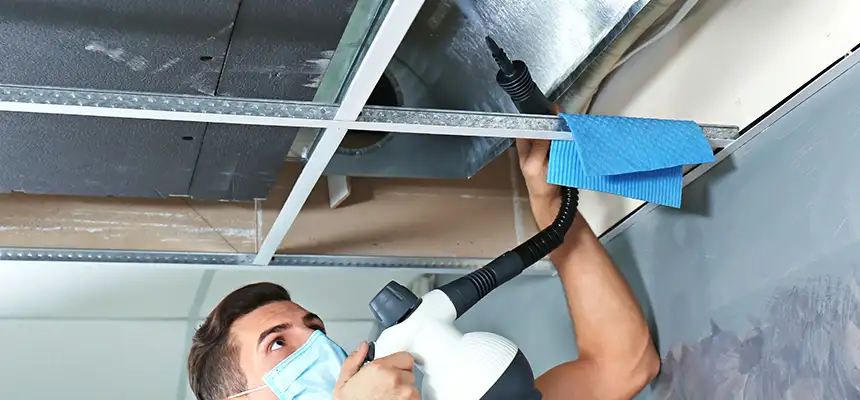 Our Air Duct Rodent Removal Services in Oceanside, CA