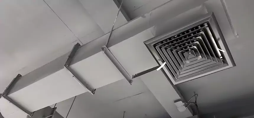 Our Pest Removal From Ducts Services in Oceanside, CA