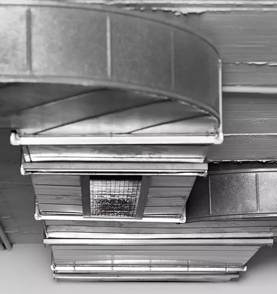 Professional Air Duct Pest Removal in Oceanside, CA