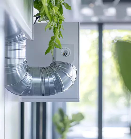 Professional Eco-Safe Dryer Vent Cleaning in Oceanside, CA