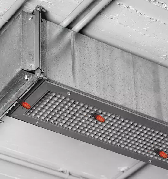 Affordable Insect Removal from Air Ducts in Oceanside, CA