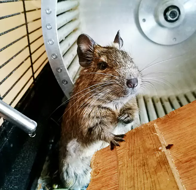 Why Homeowners & Businesses Trust Us Oceanside, CA?