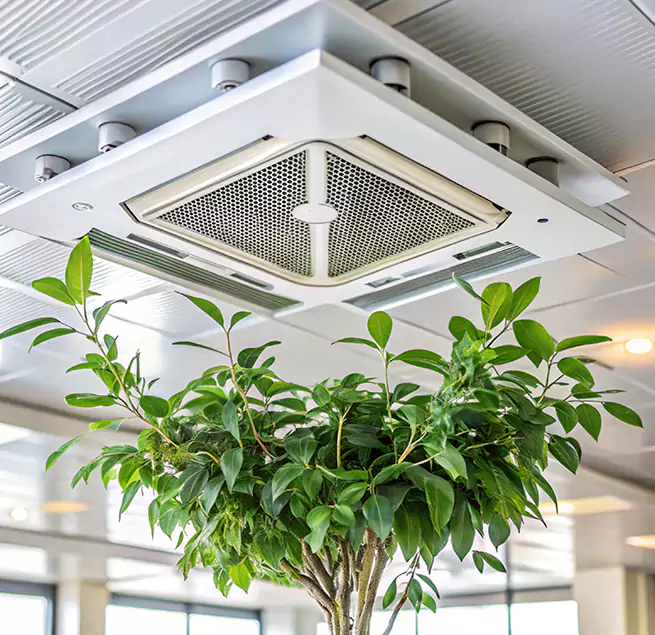 Why Homeowners & Businesses Trust Us in Oceanside, CA?