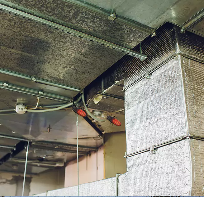 Why Homeowners & Businesses Trust Us Oceanside, CA?