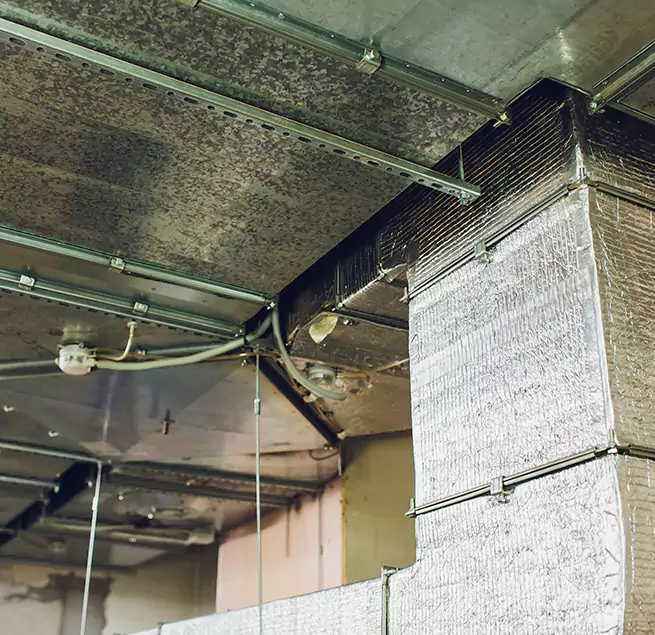 Why Homeowners & Businesses Trust Us in Oceanside, CA?