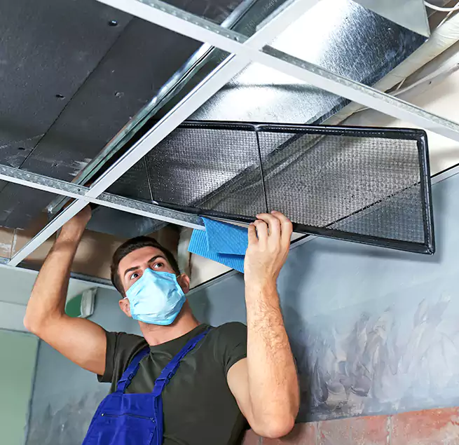 Why Homeowners Businesses Trust Us in Oceanside, CA